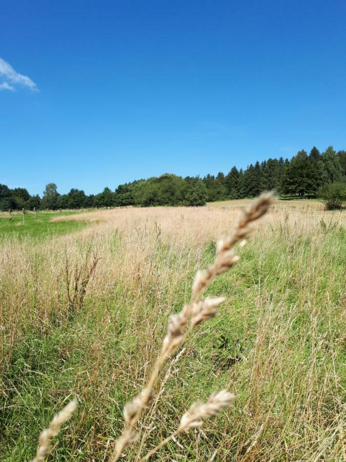 Ferienwohnung Weitblick Wolfshagen  Eksteriør bilde